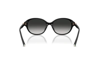 Rear view Tiffany TF4263D (80013C)