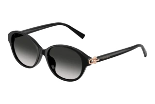 Front view Tiffany TF4263D (80013C)