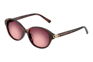 Front view Tiffany TF4263D (84218H)