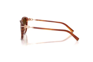Side view Tiffany TF4267 (84693B)