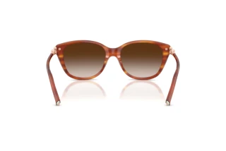Rear view Tiffany TF4267 (84693B)