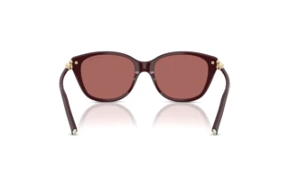Rear view Tiffany TF4267 (847069)