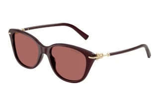Front view Tiffany TF4267 (847069)