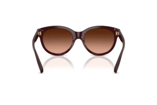 Rear view Tiffany TF4271 (84705M)