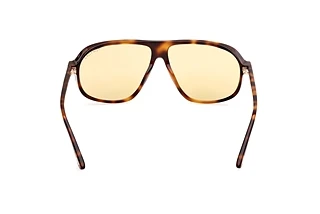 Rear view Tom Ford GUILLAUME (FT1208 - 53E)