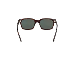 Rear view Tom Ford HAYDEN-02 (FT1403 - 52N)
