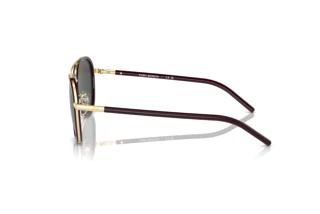 Side view Tory Burch TY6089 (194887)