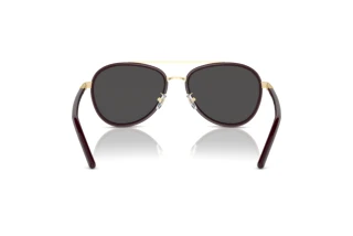 Rear view Tory Burch TY6089 (194887)