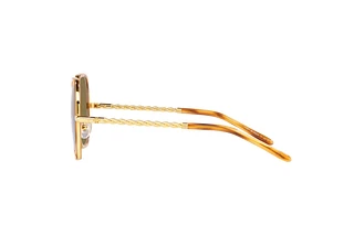 Side view Tory Burch TY6092 (332873)