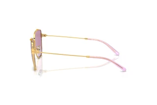 Side view Tory Burch TY6105 (3278AK)