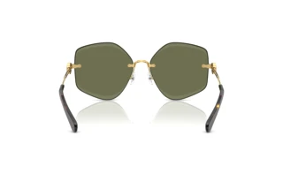Rear view Tory Burch TY6111 (334371)