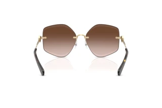 Rear view Tory Burch TY6111 (334913)