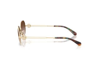 Side view Tory Burch TY6113 (334613)