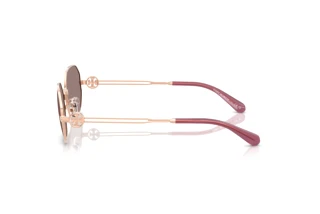 Side view Tory Burch TY6113 (33587N)