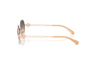 Side view Tory Burch TY6113 (3358G9)