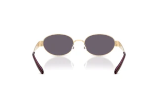 Rear view Tory Burch TY6116 (33461A)