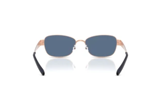 Rear view Tory Burch TY6119 (335880)