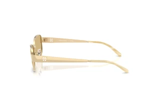 Side view Tory Burch TY6119 (336285)
