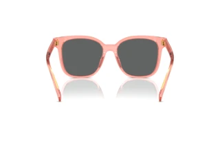 Rear view Tory Burch TY7203U (199087)