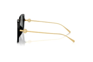 Side view Tory Burch TY7205D (170987)
