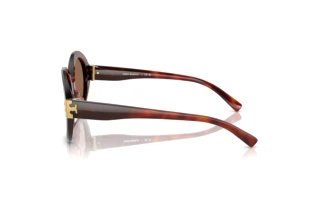 Side view Tory Burch TY7210U (201173)