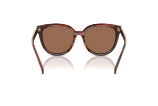 Rear view Tory Burch TY7213D (201173)
