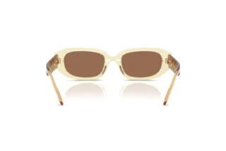 Rear view Tory Burch TY7219U (202673)