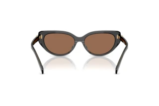 Rear view Tory Burch TY7220D (201973)