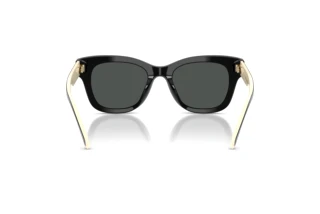 Rear view Tory Burch TY7225U (198887)