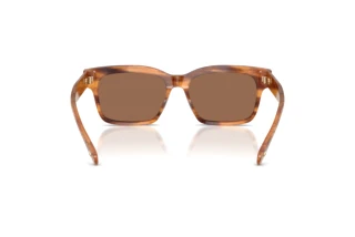 Rear view Tory Burch TY7227D (192573)