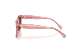 Side view Tory Burch TY7227D (202175)