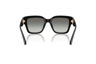 Rear view Tory Burch TY7228U (170911)