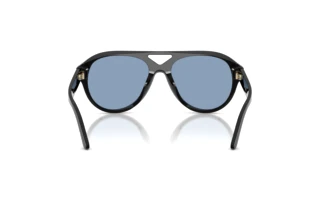 Rear view Tory Burch TY7233U (170972)