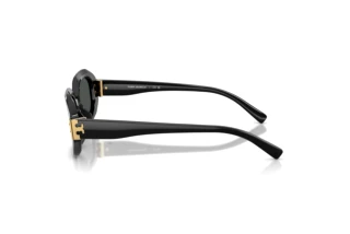 Side view Tory Burch TY7234U (170987)