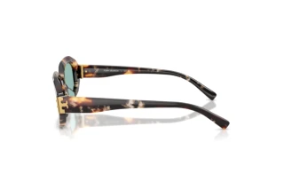 Side view Tory Burch TY7234U (207282)
