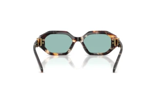 Rear view Tory Burch TY7234U (207282)