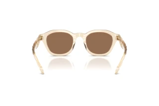 Rear view Tory Burch TY7235D (197773)
