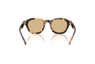 Rear view Tory Burch TY7235D (20660R)