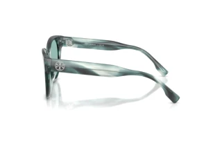 Side view Tory Burch TY7236U (206882)