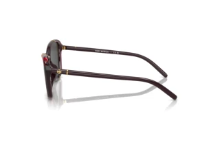Side view Tory Burch TY9074U (194887)