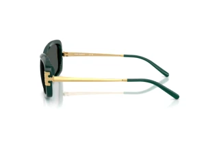 Side view Tory Burch TY9077U (205387)