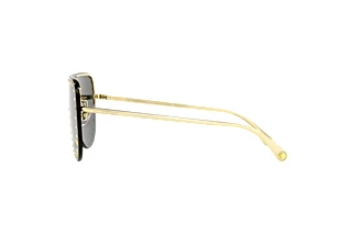 Side view Versace VE2230B (100287)