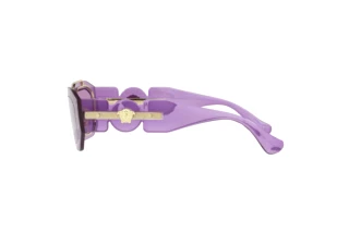 Side view Versace VE2235 (100284)