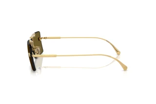 Side view Versace VE2245 (100273)