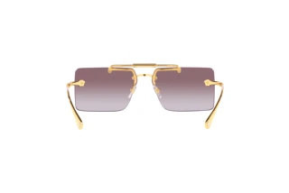 Rear view Versace VE2251 (147073)