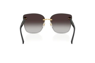 Rear view Versace VE2292B (10028G)
