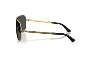 Side view Versace VE2293 (100287)