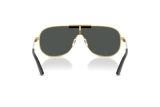 Rear view Versace VE2293 (100287)