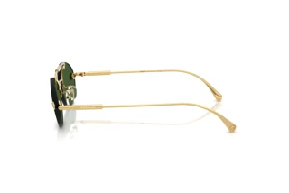 Side view Versace VE2295 (100271)