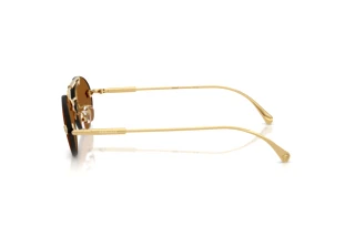 Side view Versace VE2295 (100273)